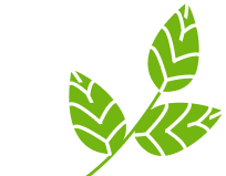 King Landscaping project