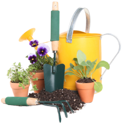 King Landscaping project