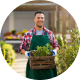 King Landscaping project