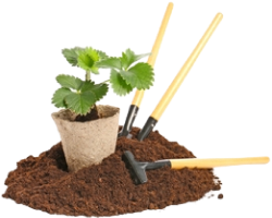 King Landscaping project