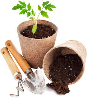 King Landscaping project