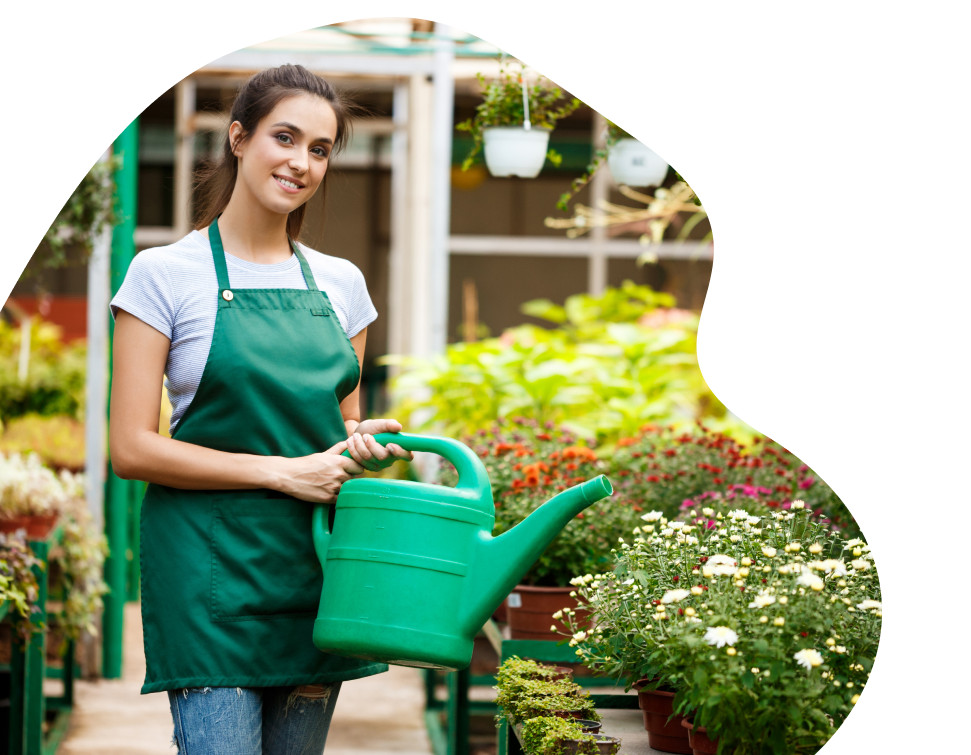 King Landscaping project