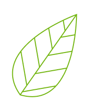 King Landscaping project