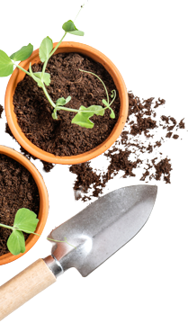King Landscaping project