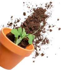 King Landscaping project