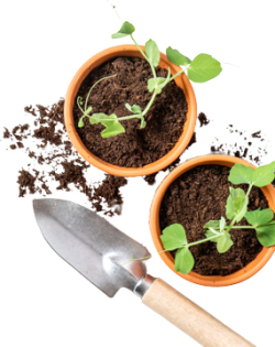 King Landscaping project