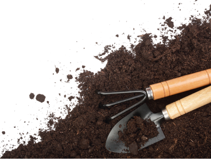 King Landscaping project