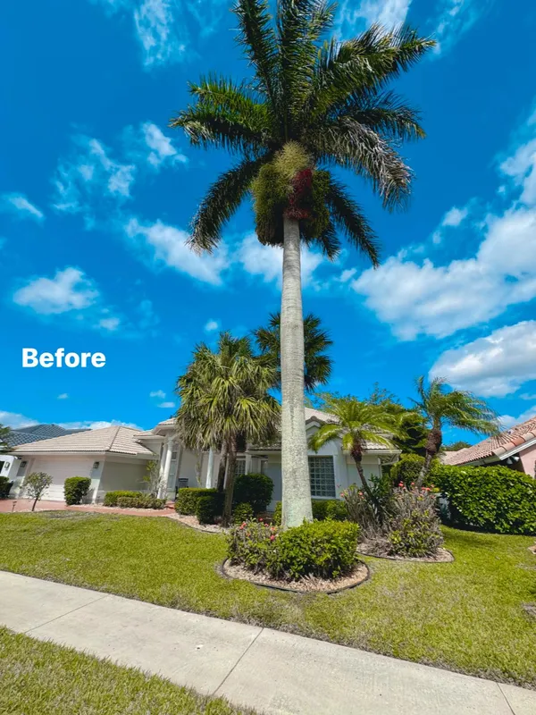 King Landscaping project