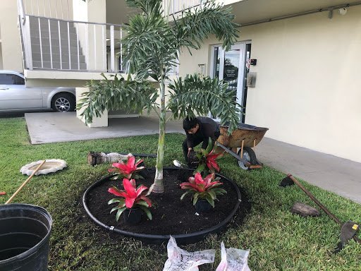 King Landscaping project