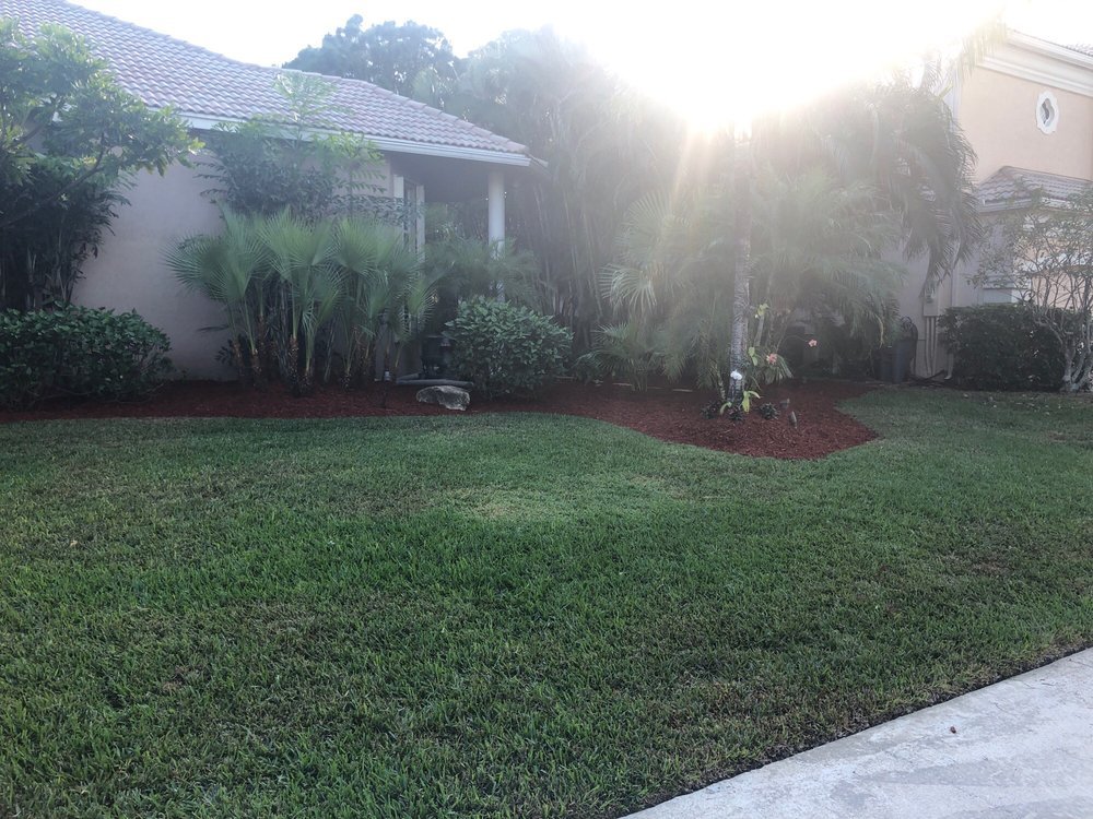 Finished lawn and landscape maintenance by King Landscaping