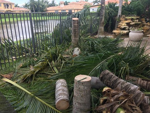 Completed landscaping project